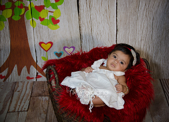 2014 Valentine-634