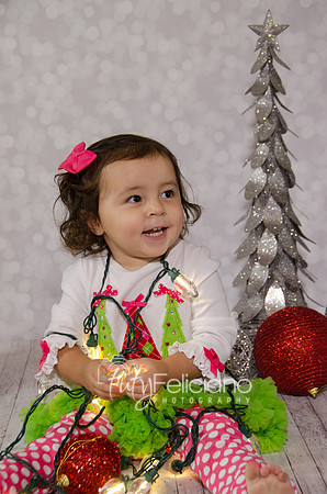 Shoooting navideno 2013-2-4391