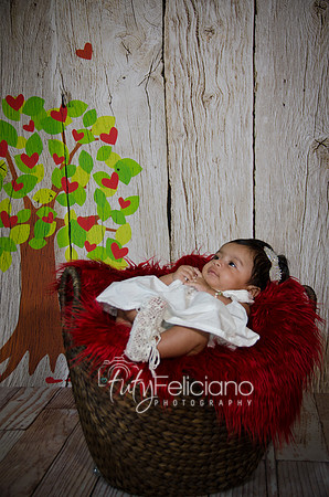 2014 Valentine-645