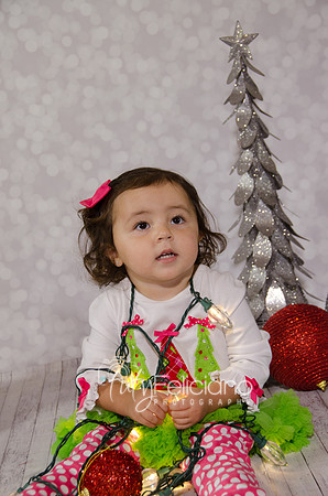 Shoooting navideno 2013-2-4410