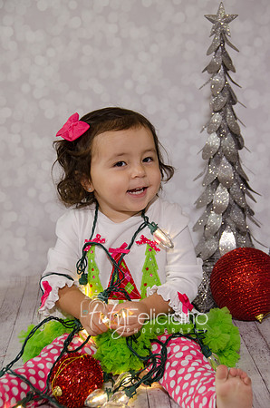 Shoooting navideno 2013-2-4393