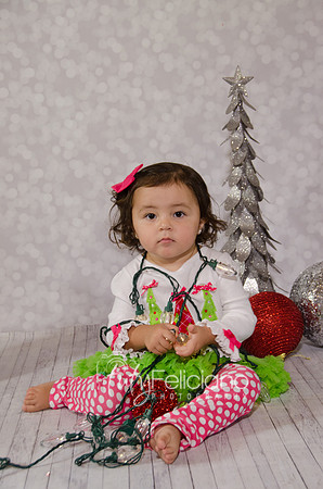 Shoooting navideno 2013-2-4354