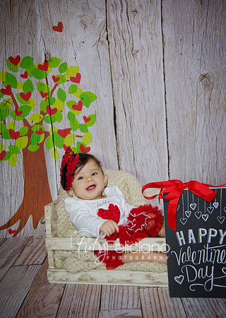2014 valentine-2648