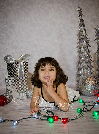 Shooting navideno-4391