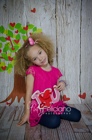 2014 Valentine-2500