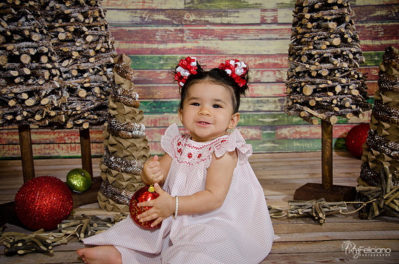 Navidad2014-4343