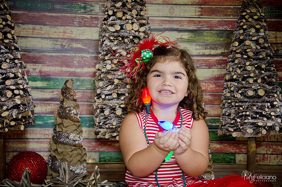 Navidad 2014-1624