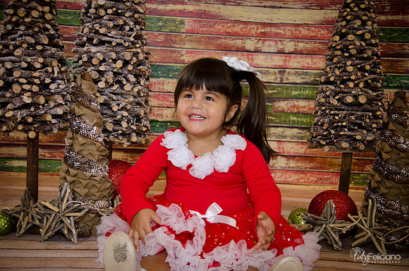 Navidad 2014-1608