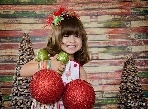 Navidad 2014-2130