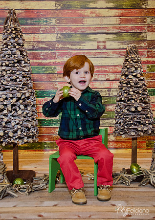 navidad 2014-1488
