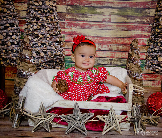 Navidad2014-1290