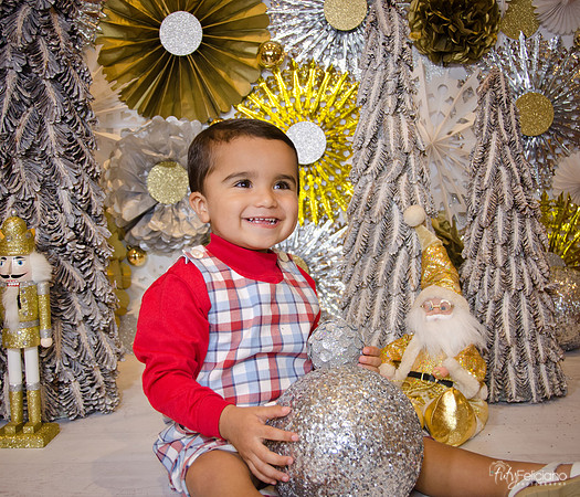 Navidad 2014-8614