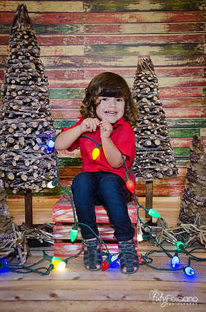 navidad 2014-11677