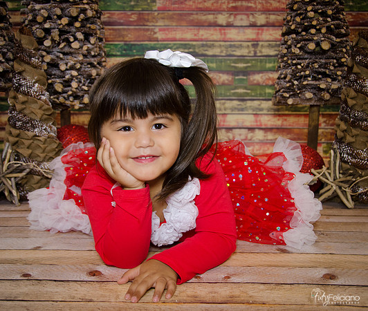 Navidad 2014-1668