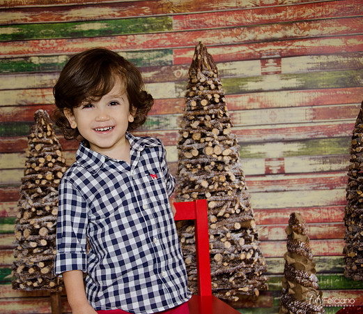 Navidad 2014-3310