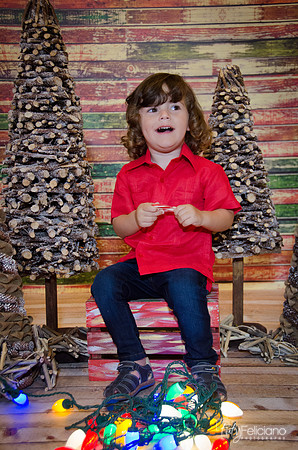 navidad 2014-11610
