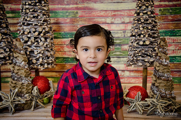 Navidad 2014-2217