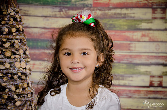 Navidad 2014-3558