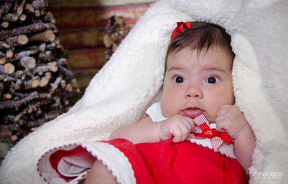 navidad 2014-1953
