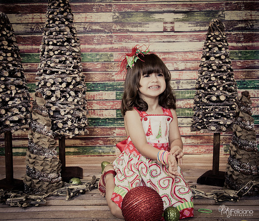 Navidad 2014-2181