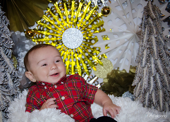 Navidad2014-1241