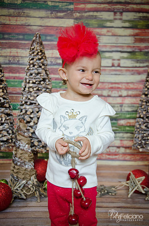 Navidad 2014-7473