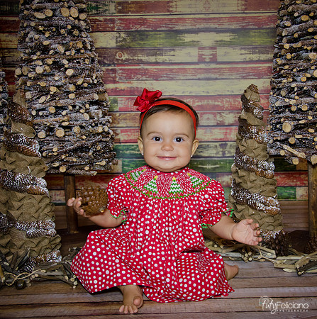 Navidad2014-1355