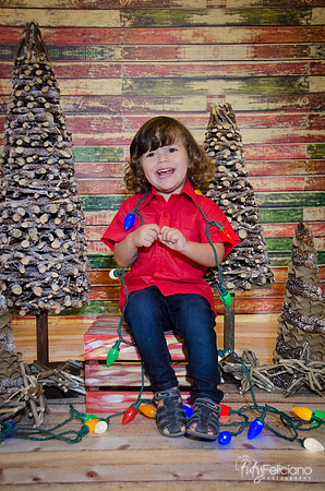 navidad 2014-11692