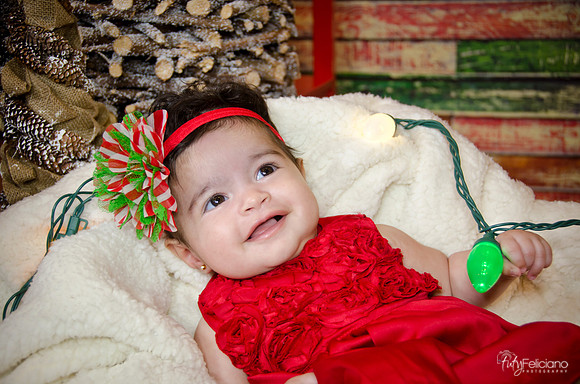 Navidad 2014-7715