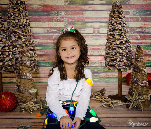 Navidad 2014-3702
