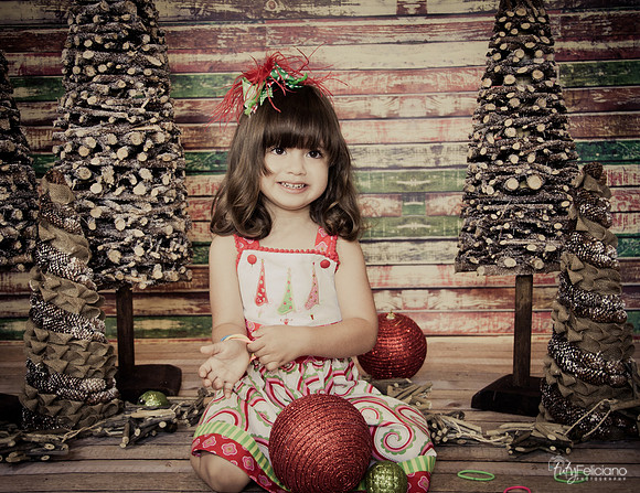 Navidad 2014-2206