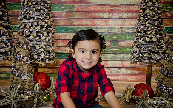 Navidad 2014-2244