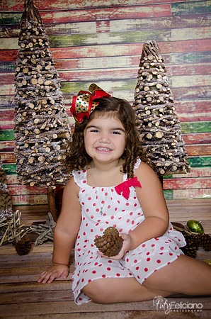 Navidad 2014-1082