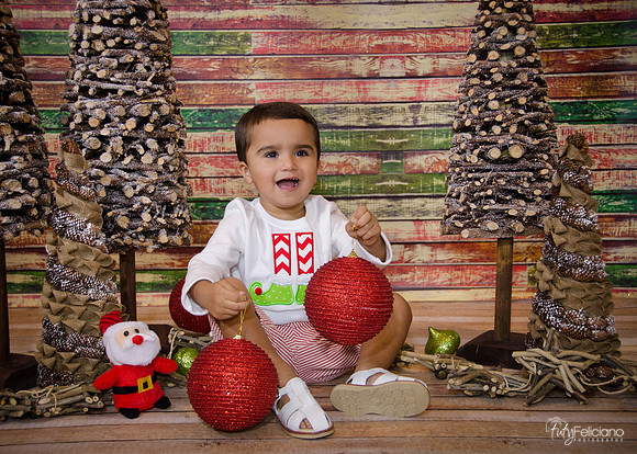 Navidad 2014-8549