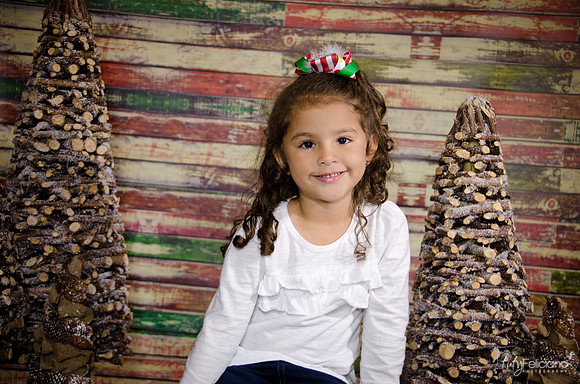 Navidad 2014-3541