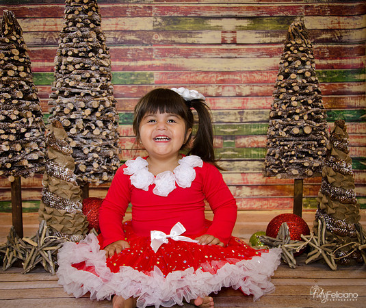 Navidad 2014-1635-2