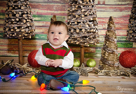 navidad 2014-2634