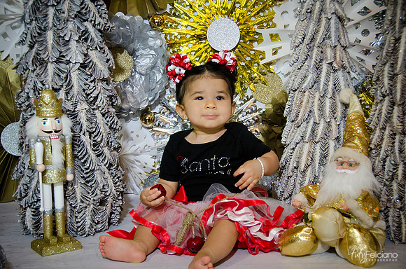 Navidad2014-4685