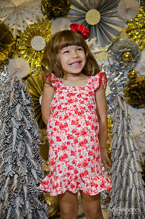 navidad 2014-11240