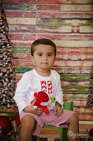 Navidad 2014-8483