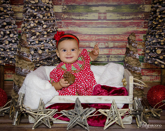 Navidad2014-1307
