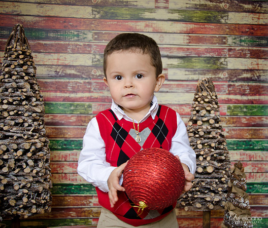 Navidad 2014-8067