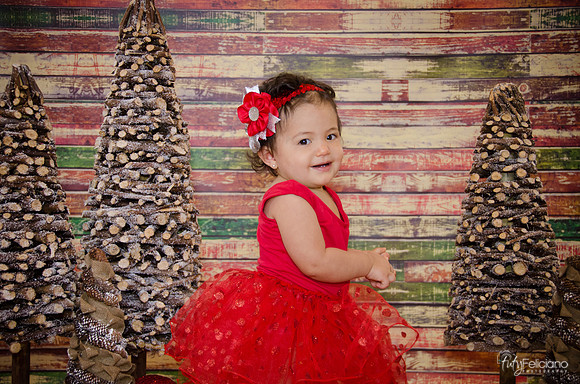 Navidad 2014-1673