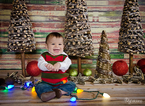 navidad 2014-2742