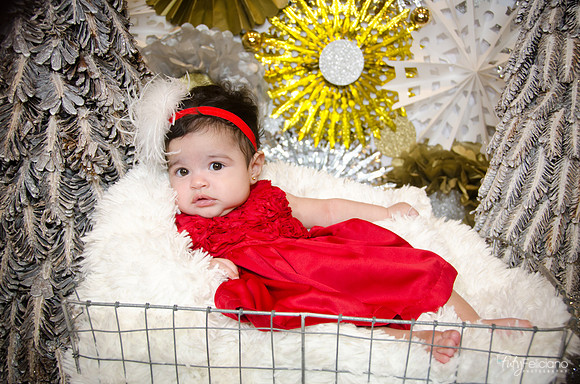 Navidad 2014-7781