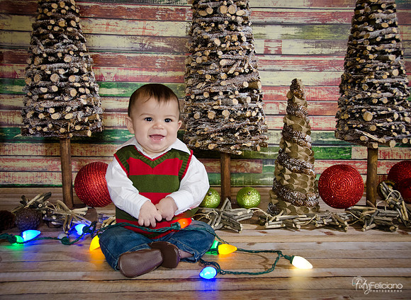 navidad 2014-2738