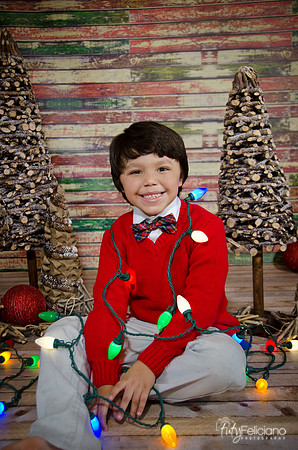 Navidad2014-4504