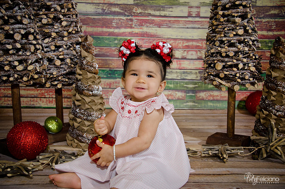 Navidad2014-4341
