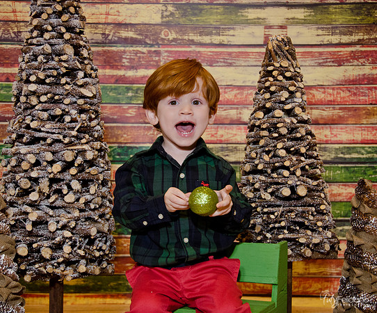 navidad 2014-1503