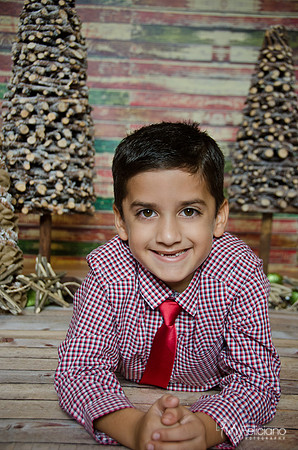 navidad 2014-11456